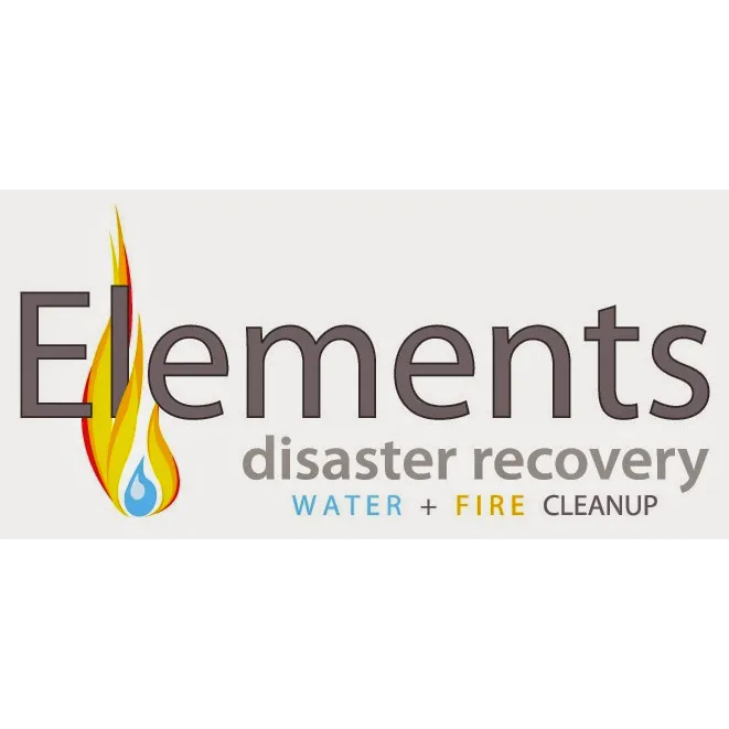 Elements Disaster Recovery Picture 3
