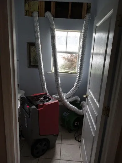 Elements Disaster Recovery Picture 4