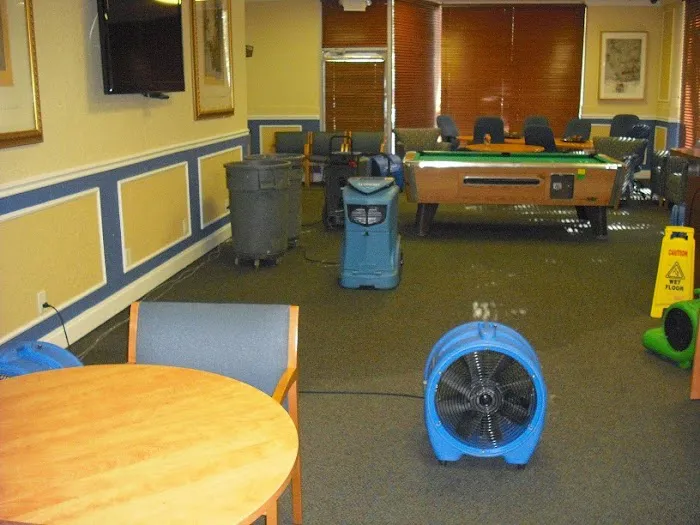 Elements Disaster Recovery Picture 5