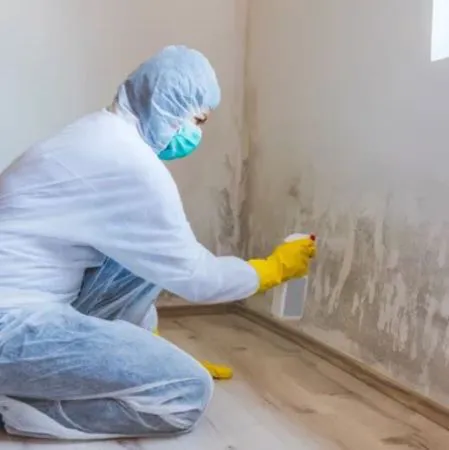 Omega Environmental Picture 7