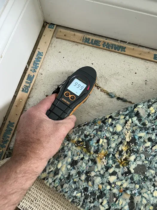 All Dry Services of SE Jacksonville Picture 4