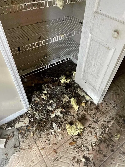 All Dry Services of SE Jacksonville Picture 5