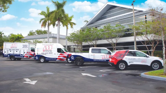 ADU Water Fire Mold Storm Picture 1