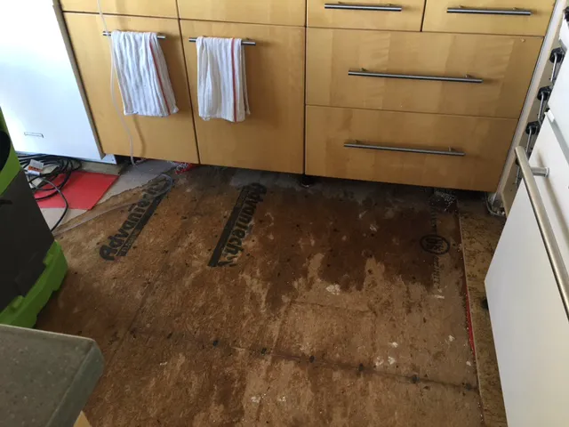 Certified LLC Picture 2