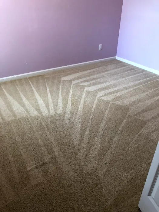 Certified LLC Picture 3