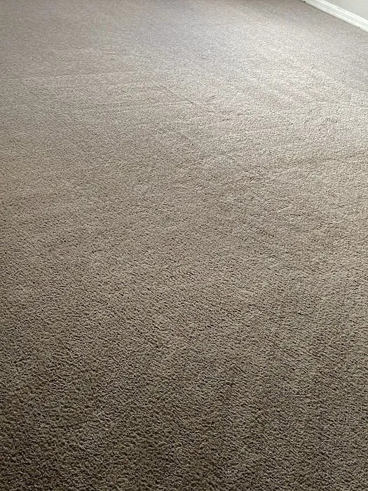 True Clean Carpet & Tile Care Picture 4