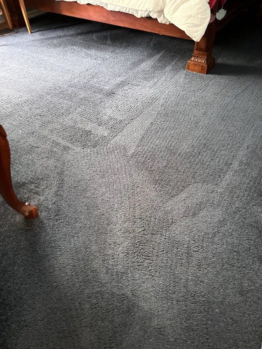 True Clean Carpet & Tile Care Picture 2