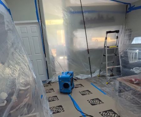 Affordable Mold Removal & Remodeling