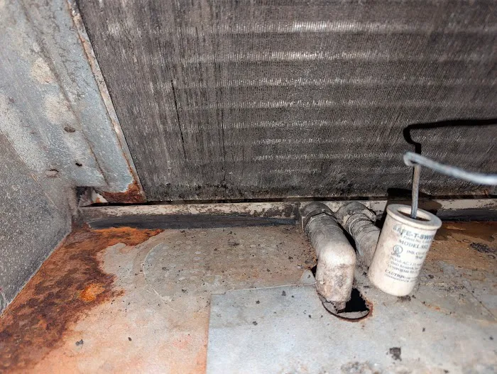 Affordable Mold Removal & Remodeling Picture 2