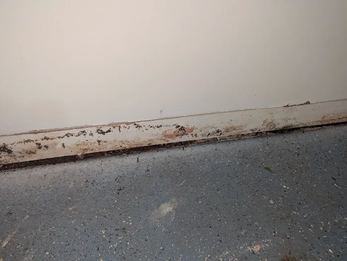Affordable Mold Removal & Remodeling Picture 6