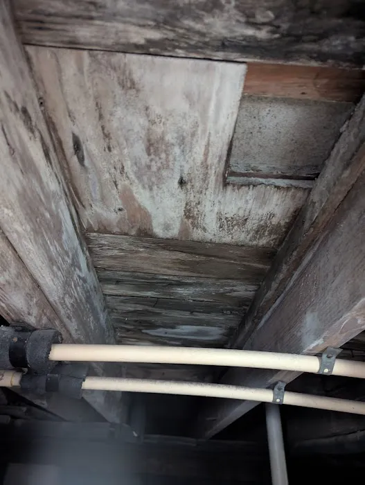 Affordable Mold Removal & Remodeling Picture 10