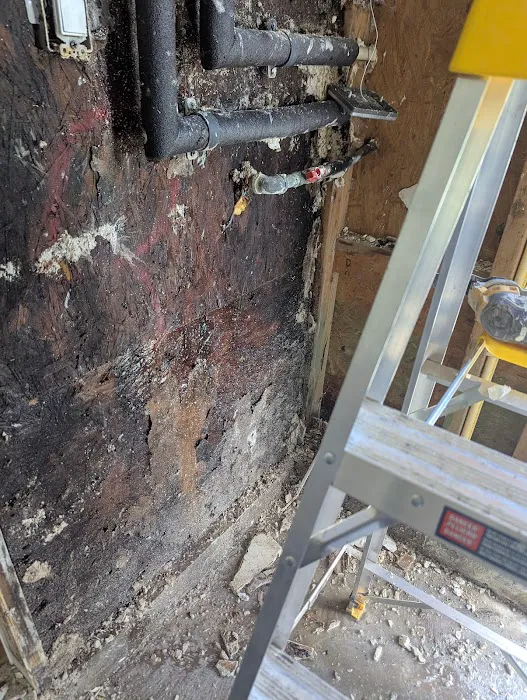 Affordable Mold Removal & Remodeling Picture 7