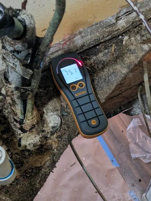 Affordable Mold Removal & Remodeling Picture 4