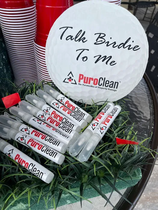 PuroClean Emergency Restoration Services Picture 5