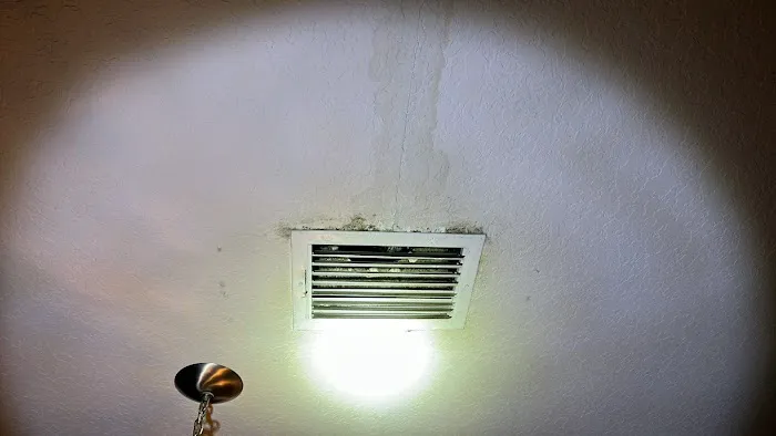 Pure Maintenance Mold Remediation Picture 3