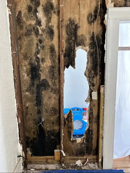 Pure Maintenance Mold Remediation Picture 6