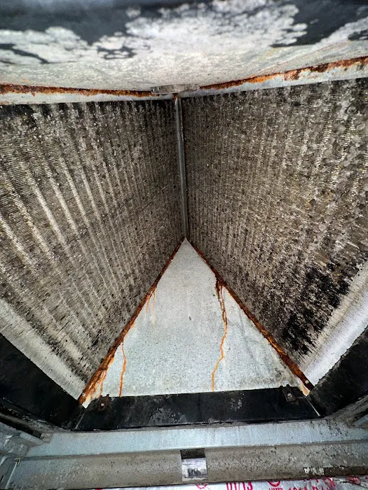 Pure Maintenance Mold Remediation Picture 7