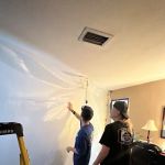Pure Maintenance Mold Remediation
