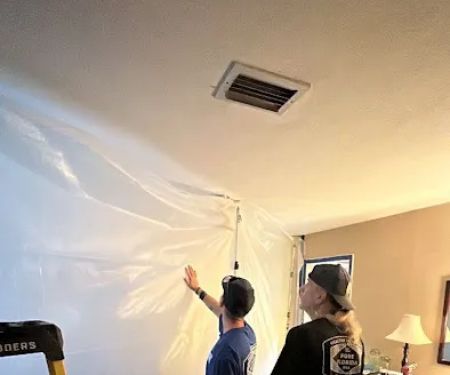 Pure Maintenance Mold Remediation