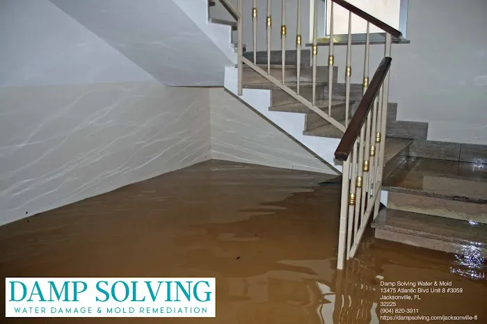 Damp Solving Water & Mold Picture 2