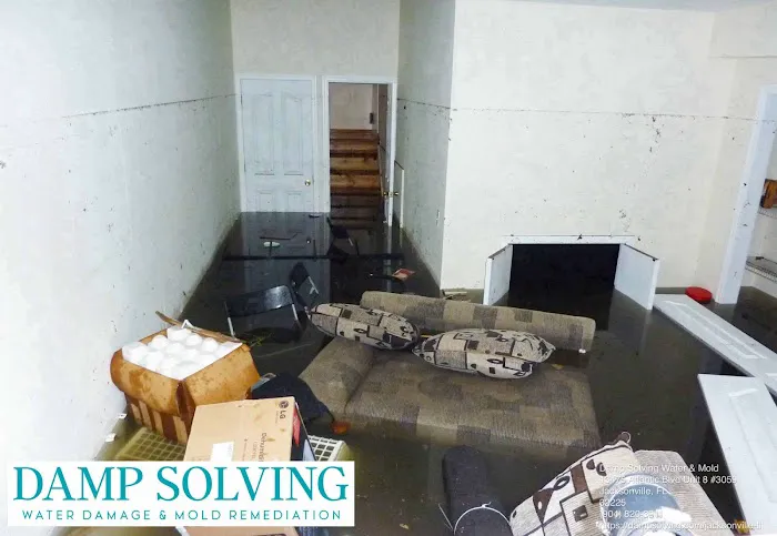 Damp Solving Water & Mold Picture 5