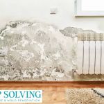 Damp Solving Water & Mold