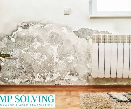 Damp Solving Water & Mold