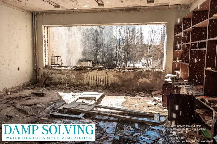 Damp Solving Water & Mold Picture 10