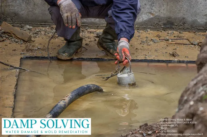 Damp Solving Water & Mold Picture 9