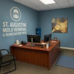 St. Augustine Mold Removal & Remediation Pros