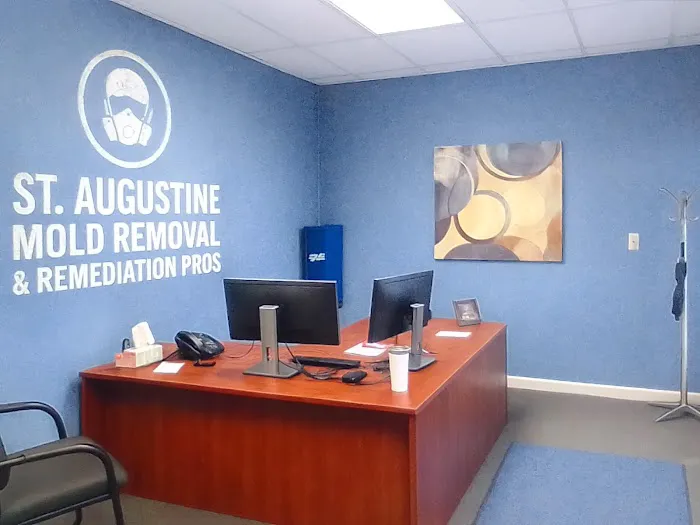 St. Augustine Mold Removal & Remediation Pros Picture 6