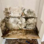 Mold Masters