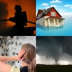 OneRestore St Augustine