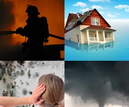 OneRestore St Augustine