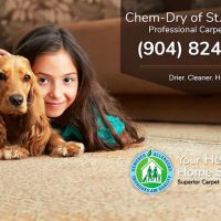 Chem-Dry of St Augustine ico