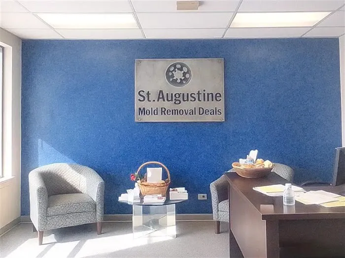 St. Augustine Mold Removal Deals Picture 2