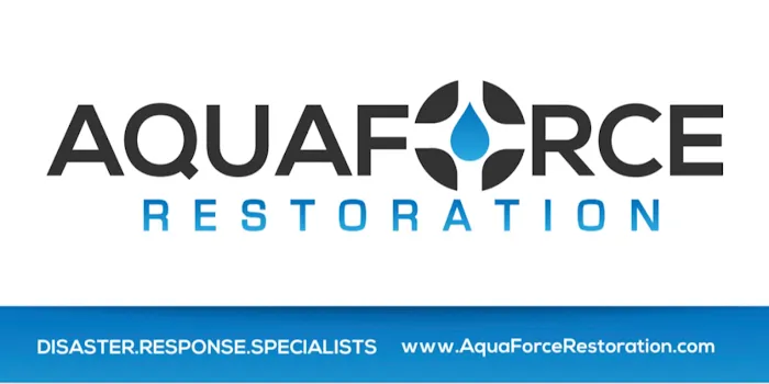 Aqua Force Restoration Picture 1