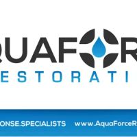 Aqua Force Restoration ico