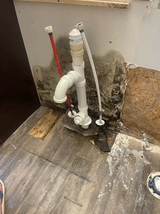 First Coast Steamer Picture 5