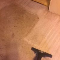 First Coast Steamer ico