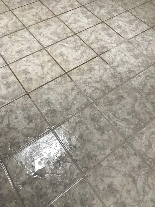 First Coast Steamer Picture 9