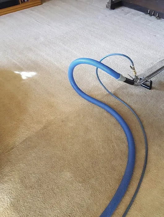 Old World Restoration and Carpet Cleaning Picture 5