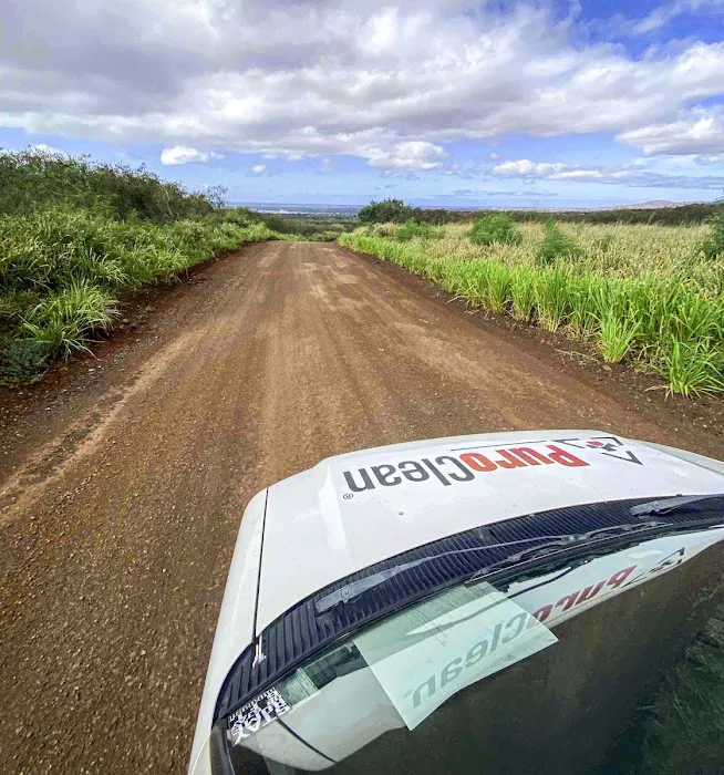 PuroClean Property Restoration Services Picture 8