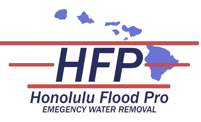 Honolulu Flood Pros Picture 3