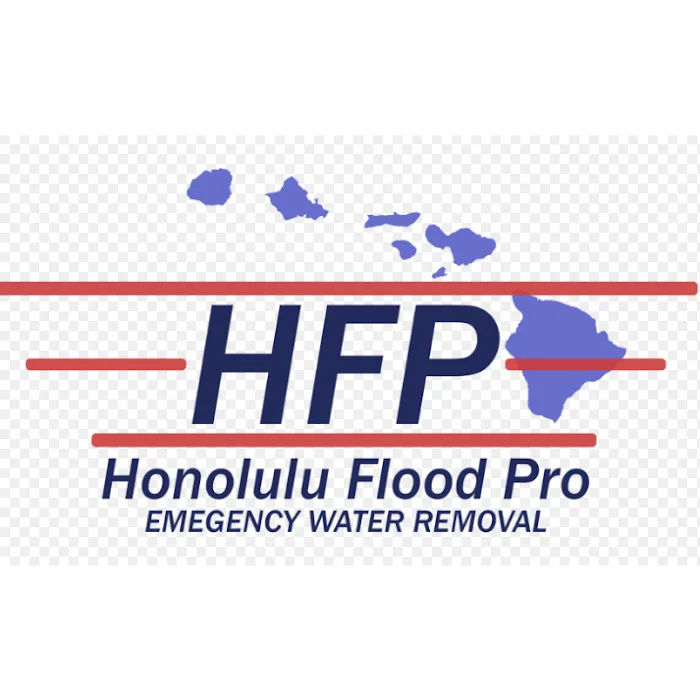 Honolulu Flood Pros Picture 6