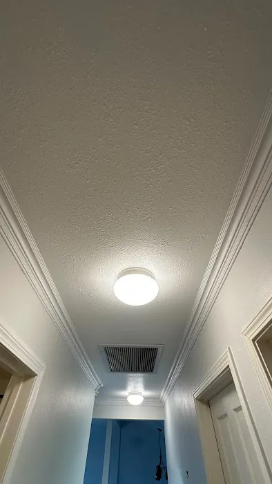 Hawaii Water Damage Restoration LLC Picture 1