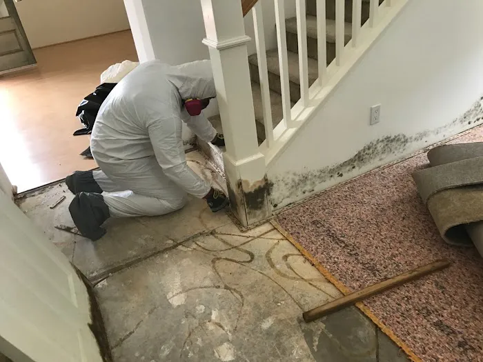 Premier Restoration Hawaii Picture 6