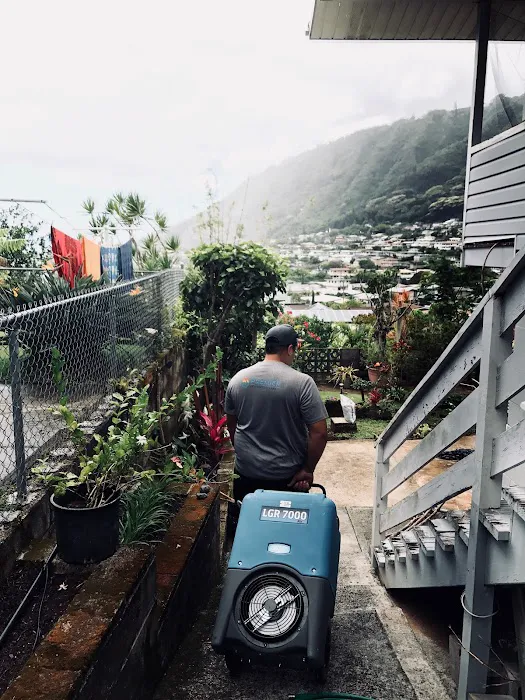 Premier Restoration Hawaii Picture 4