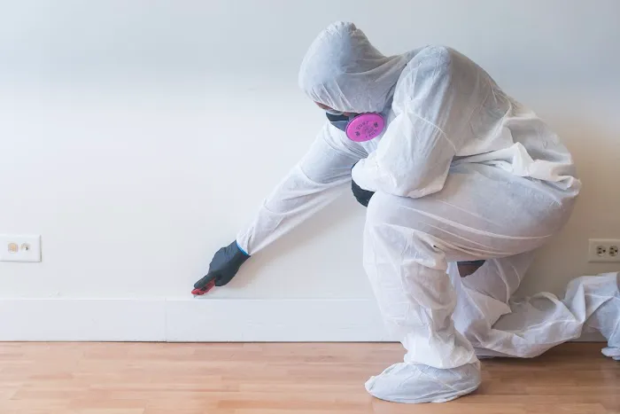 Premier Restoration Hawaii Picture 7