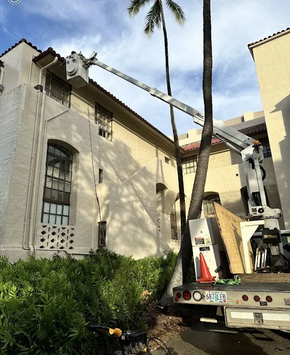 Honolulu Commercial Cleaning Picture 5